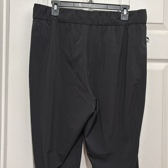 Patagonia joggers - Picture 4 of 7